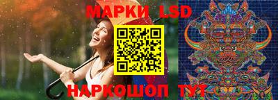 прущие грибы Заводоуковск