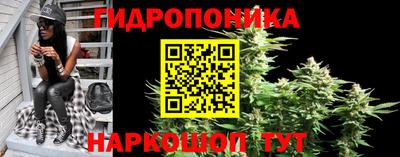 не бодяженный Жуковский