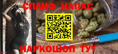 прущие грибы Заводоуковск