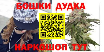 прущие грибы Заводоуковск